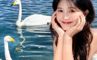51cg在线：没人请我吃瓜，但我可以自制无料特供！