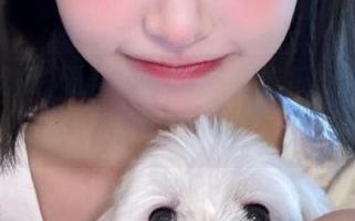 硬着头皮下载51吃瓜，结果官网开不起来，我该咋办？