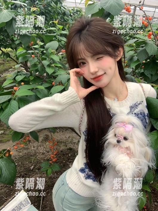 登录hlwbet，瓜稀疏成片，欢乐像弹珠一样乱飞！