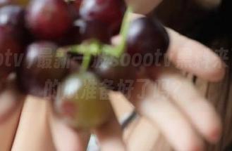 最新一波soootv黑料来了，你的瓜准备好了吗？