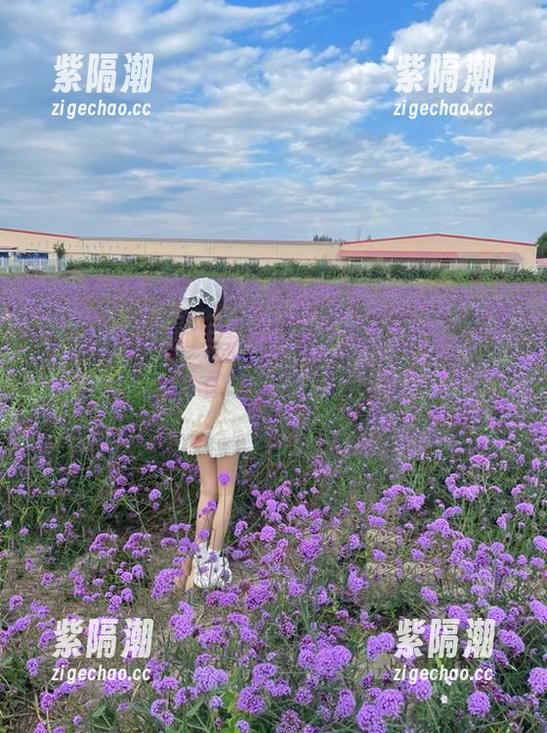 冲哥精选 黑料导航开通,冲哥精选中心陪你轻松撕X。