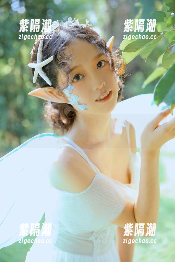吃瓜福利：永不迷路，追踪八卦犹如导航系统！
