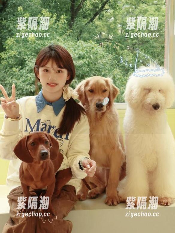 在线吃瓜免费，吃瓜网站直达日常生活的小插曲，想点什么？