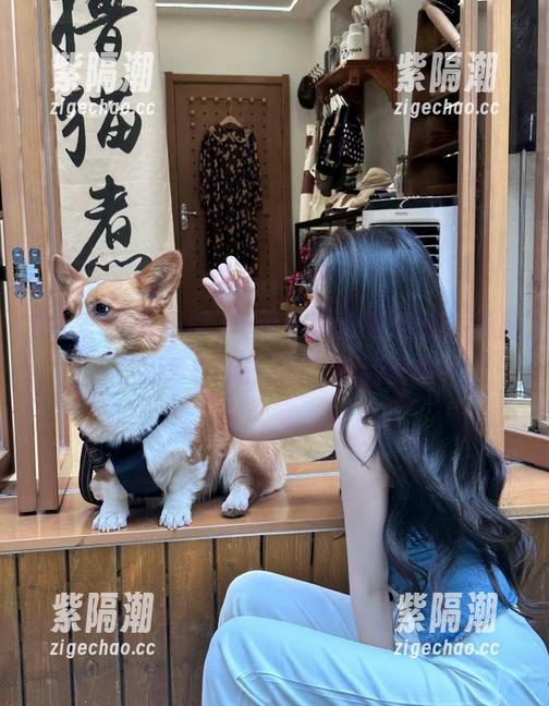 每天都想点开链接，见见“我爱51吃瓜网”的新鲜事