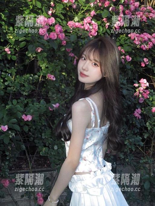 观看时光流转，明星黑料如何在网络上发酵