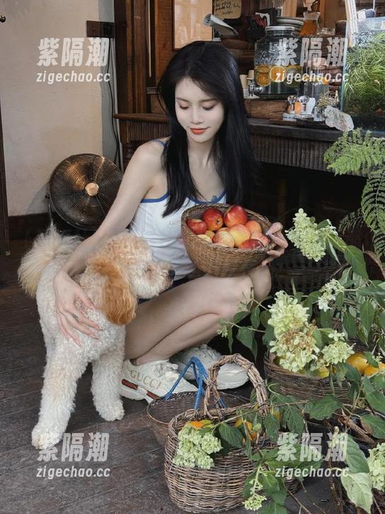 黑料社区在线：每一条链接都可能是今天的八卦快递！