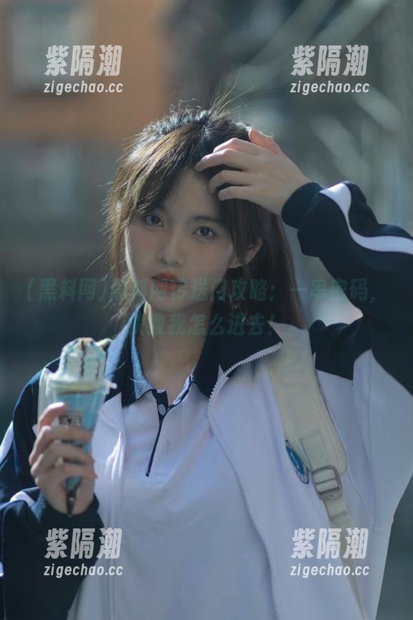 黑料网传送门攻略：一串密码，快教我怎么进去！